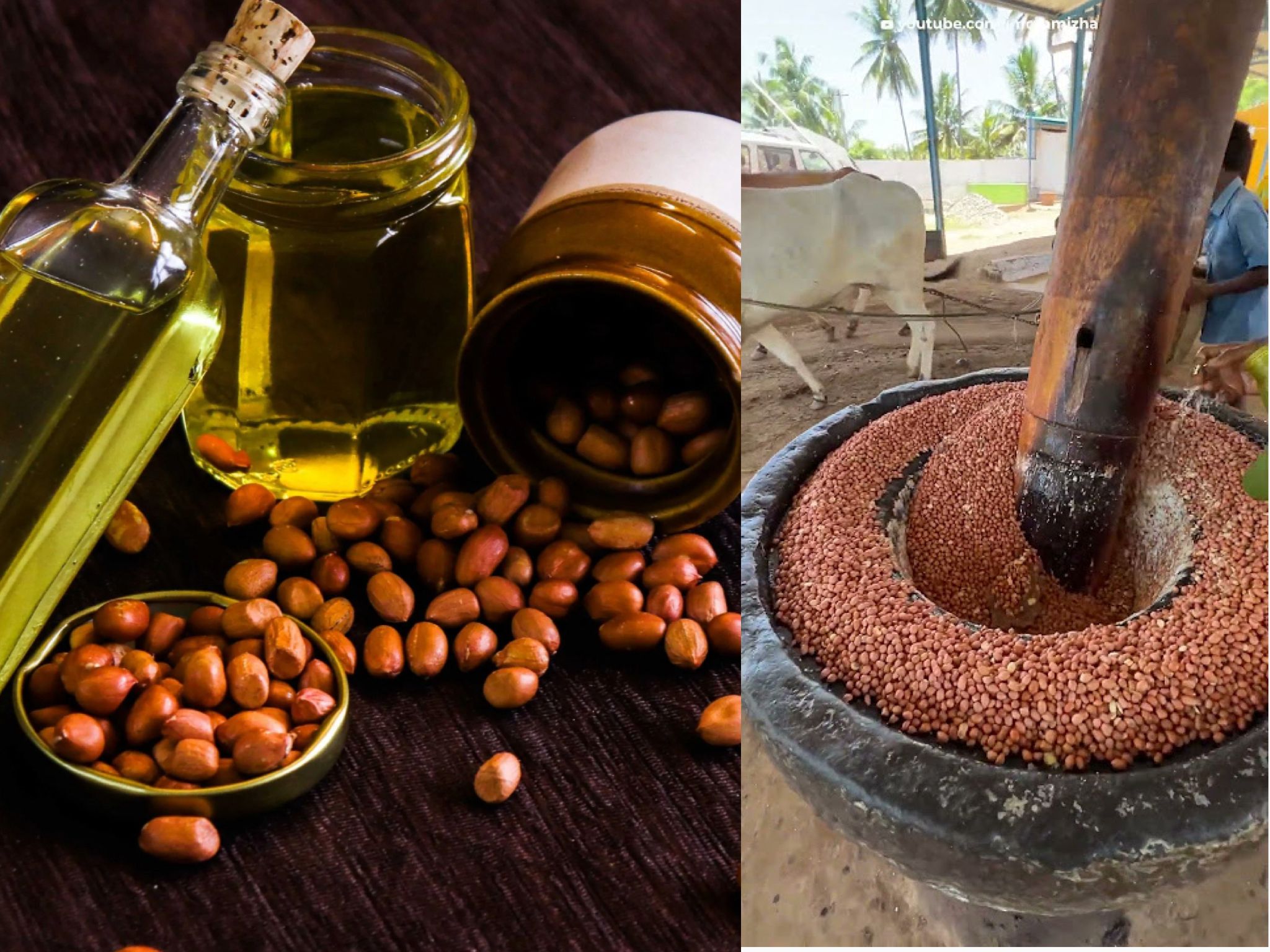 மரச்செக்கு கடலை எண்ணெய் நன்மைகள் | இயற்கையான ஆரோக்கிய எண்ணெய்
